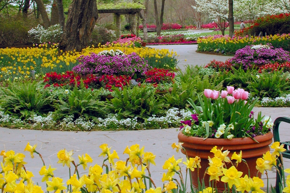 Dallas Arboretum and Botanical Garden | Dallas, Texas, USA