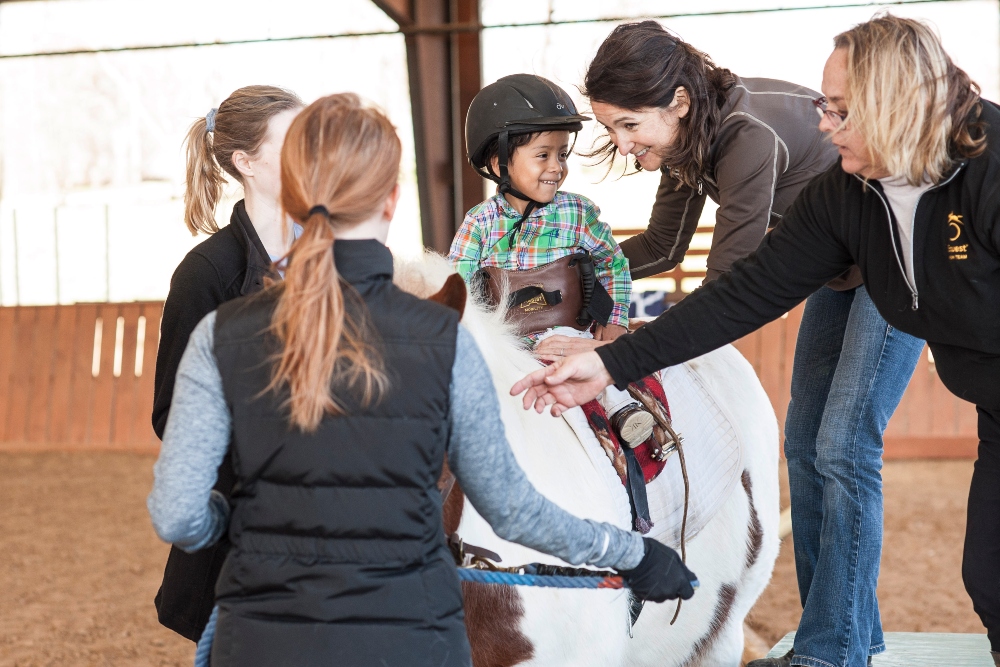 Equest Provides Equine Facilitated Activities and Counseling to Children and Adults
