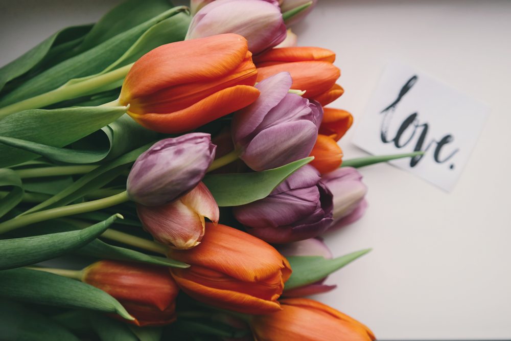 Material gifts may hold sentimental value, but shared activities create lasting memories that enrich a relationship. 5 Gift Ideas for Couples to Do Together