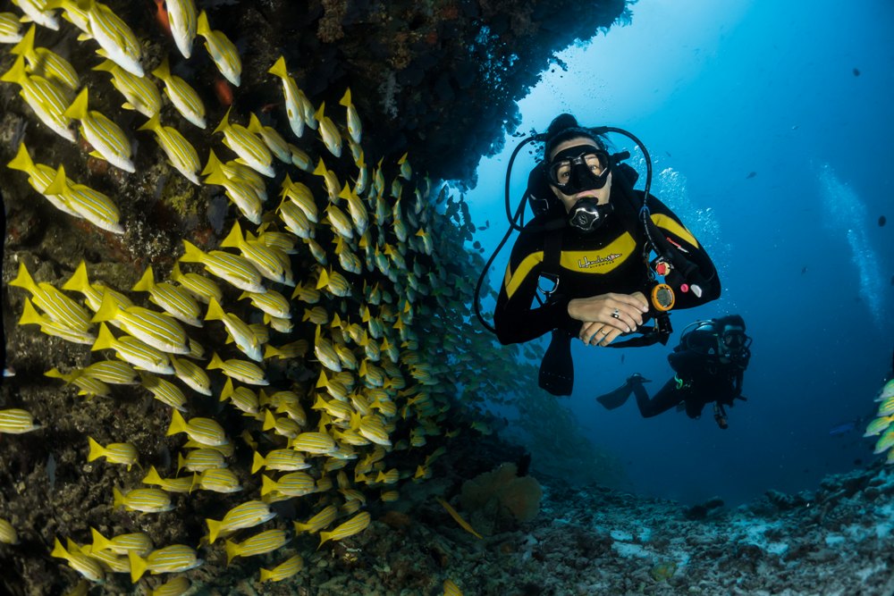 Whether you're trying something new or pushing yourself to new limits, challenging activities can be incredibly rewarding. 10 Fun Activities to Challenge You