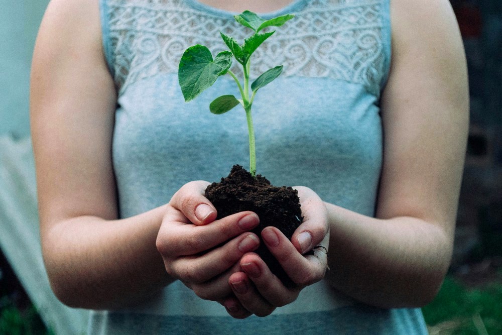 One of the key decisions in creating an environmentally conscious outdoor space is choosing the right shed type for your needs. Tips for Eco-Friendly Gardening