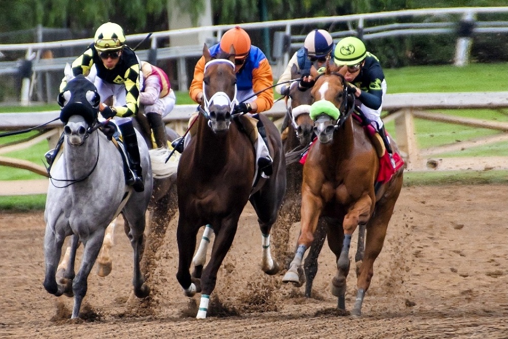 Horse Racing Retama Park Race Track Parimutuel Wagering, Betting