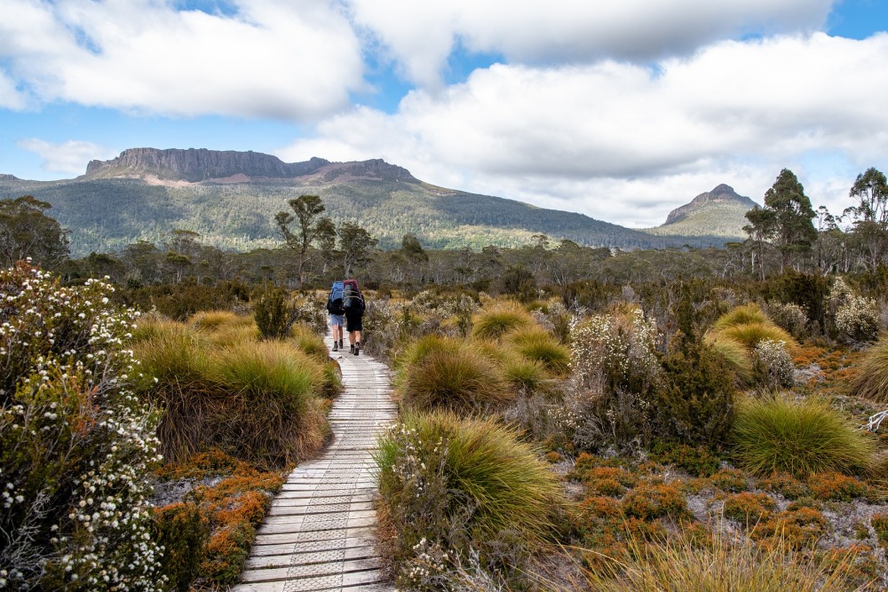 6 Places to Visit When Touring Tasmania