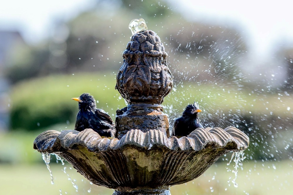 How to Decorate Bird Baths