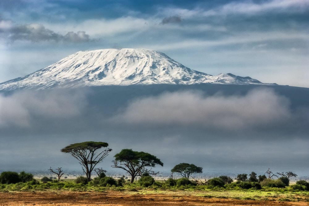 An Exhilarating Day Hike Adventure on Mount Kilimanjaro