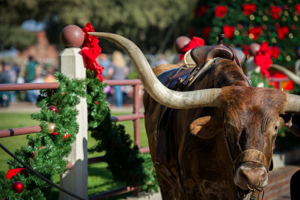 Celebrate the 20th Annual Christmas in the Historic Fort Worth Stockyards