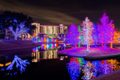 Vitruvian Lights Kicks Off Holidays With 1.5+ Million Lights